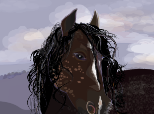 horse art cody